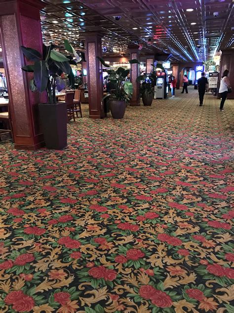 Beneath the Surface: Las Vegas' Invisible Magic Carpet Fred